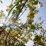 Il Mirto לינה וארוחת בוקר אימפריה