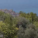 Il Mirto