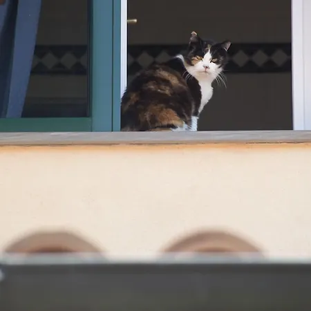 Bed & Breakfast Il Mirto Imperia