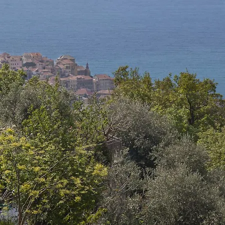 Il Mirto