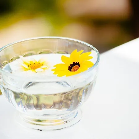Il Mirto إمبيريا