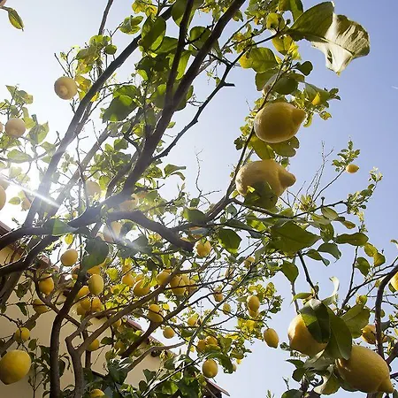 Il Mirto فندق مبيت وإفطار إمبيريا