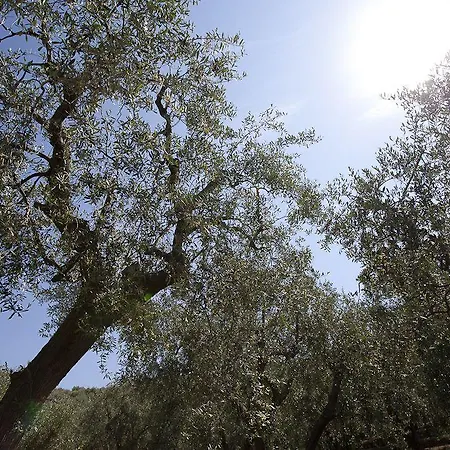Il Mirto 4* إمبيريا