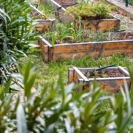 Bed & Breakfast Il Mirto