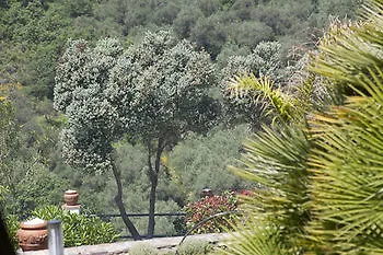 Bed & Breakfast Il Mirto 4*