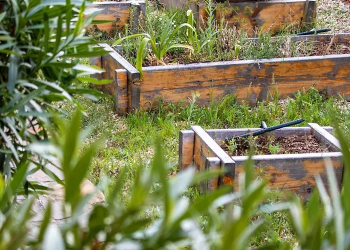 Bed & Breakfast Il Mirto 4*