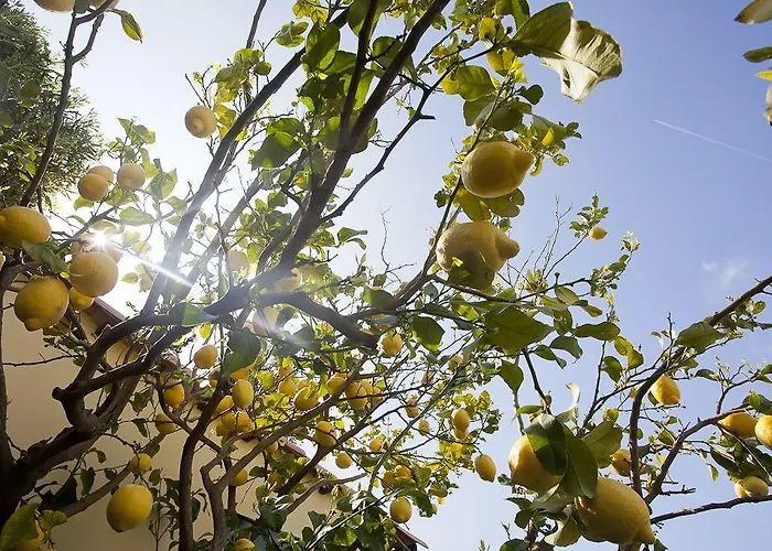Il Mirto לינה וארוחת בוקר אימפריה