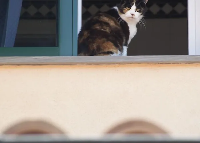 Bed & Breakfast Il Mirto Imperia