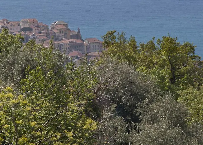 Il Mirto